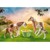 Playmobil - Icelandic Ponies with Foals (71000) thumbnail-2