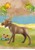 Playmobil - Wiltopia - Moose (71052) thumbnail-3