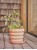 OYOY Living - Awa Pot Terracotta - Small (L300480) thumbnail-2