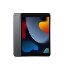 Apple - iPad 10.2" Wi-Fi 9. gen. 256 GB - Space Grey