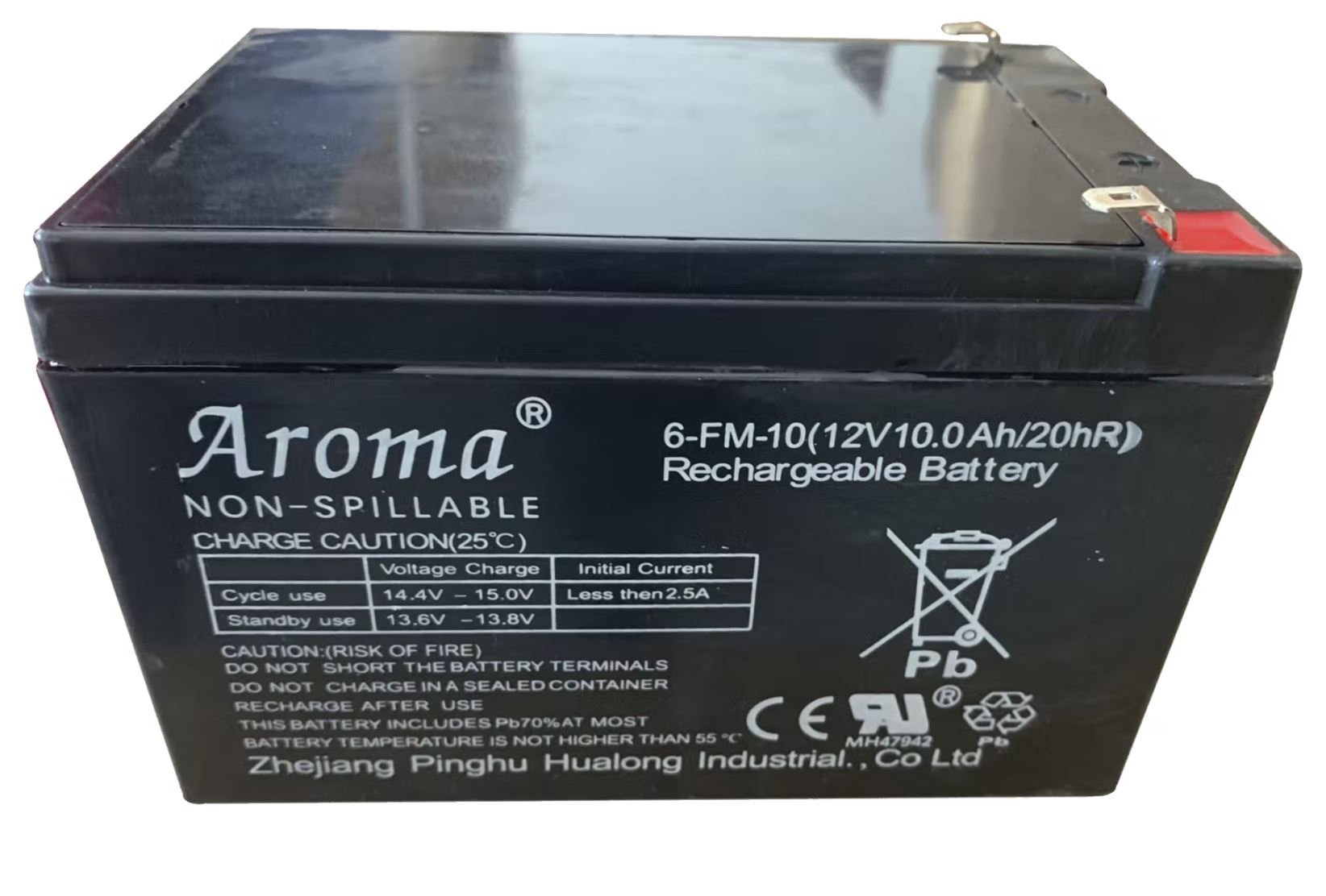 Battery for Electric Cars - 12V/10A (69502114)