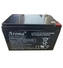 Battery for Electric Cars - 12V/10A (69502114)