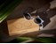Filibabba - Kids Sunglasses in Recycled Plastic - Warm Blue (FI-01905) thumbnail-2