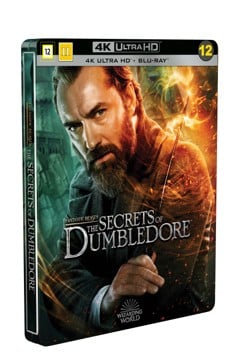 Fantastic Beasts: The Secrets of Dumbledore