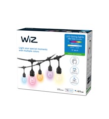 WiZ - Outdoor String Lights EU Type C