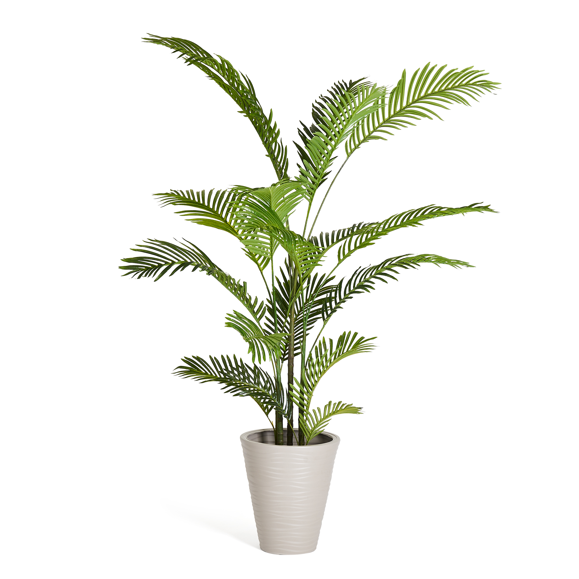 Evergreen - Palm Tree 150 cm