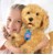 My Fuzzy Friend - Moji  the Lovable Labradoodle (DK/SE) (30374) thumbnail-4