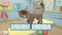 My Universe - Pet Clinic Cats & Dogs thumbnail-2