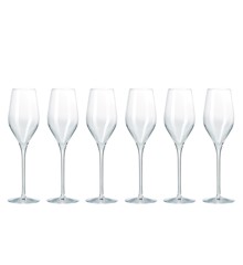 Aida - Connoisseur - champagne glass - 26,5 cl - 6 pcs (15594)
