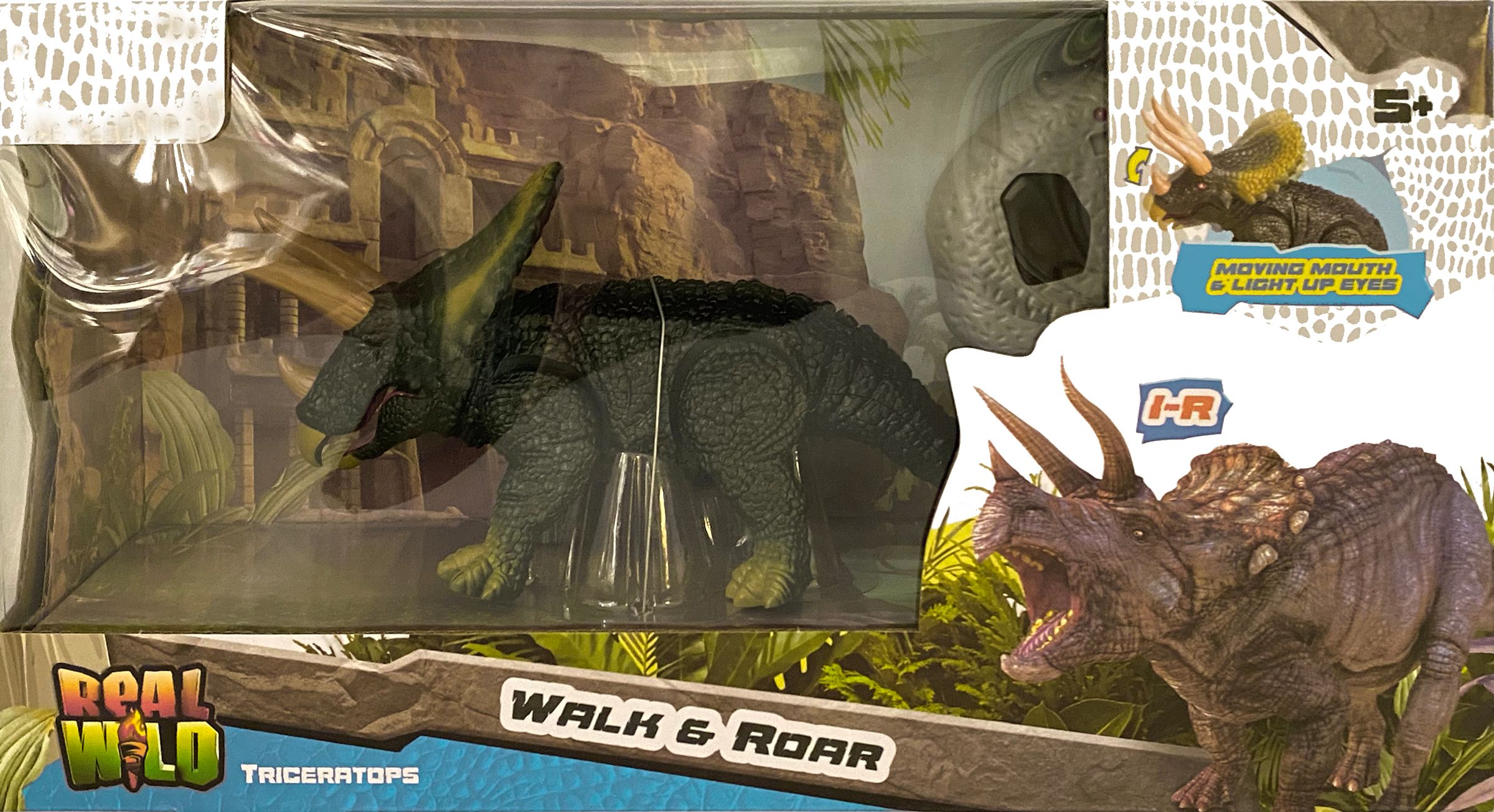 Buy Real Wild Infared Triceratops 20244