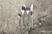 RAW - Cutlery set Stainless Steel - Mirror polish - 16 pcs (15465) thumbnail-6