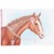 Miss Melody - Style Your Horse - Colouring Book - (0412160) thumbnail-5