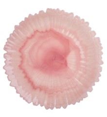 Rice - Alabaster Glass Serving Platter in Soft Pink - Ø32 cm