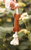 Swaggin Tails - Dog Bone - (SW01-116) thumbnail-3