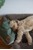 Swaggin Tails - Drömmig Rainy Grey XL Hundeseng thumbnail-2