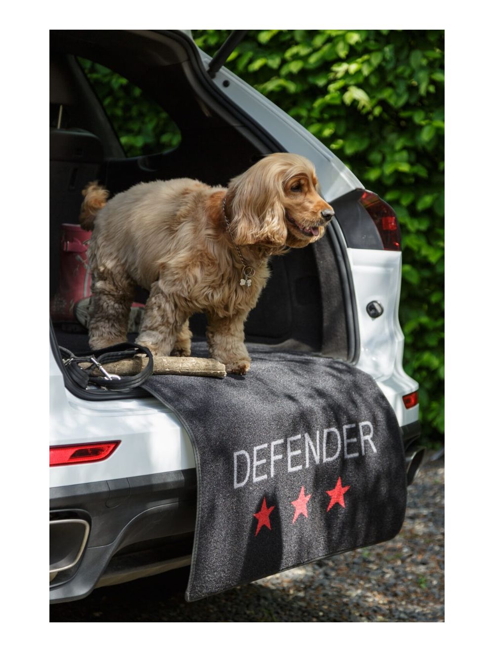 PET REBELLION - Car Defender Carpet Protection - 100x155cm - (869165975190), Pet Rebellion