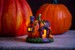 DGA - Pumpkin for tealight (10595186) thumbnail-2