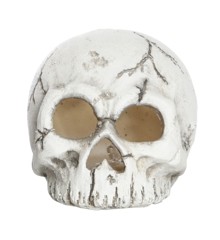 DGA - Skull with LED (10595195)