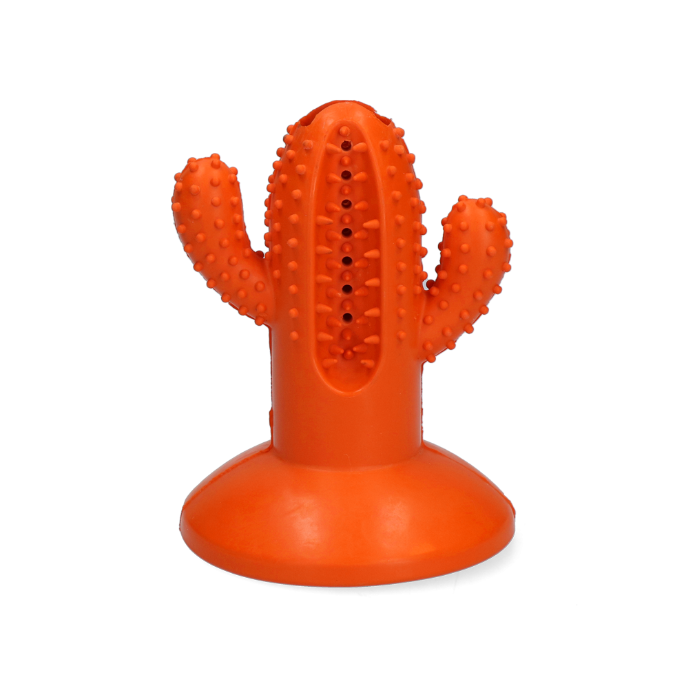 AFP - Dental Cactus Medium Orange 12,3 cm - (AFPH04197) - Kjæledyr og utstyr