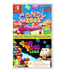 Endless Puzzle Fun Collection (Code in a box)