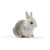 Schleich - Farm World - Rabbit Hutch (42420) thumbnail-8