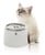 Catit - Cat Fountain Fresh & Clear 2L - (785.0430) thumbnail-1