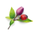 Click and Grow -  Smart Garden Refill 3-pack - Purple Chili Pepper (SGR46X3) thumbnail-1
