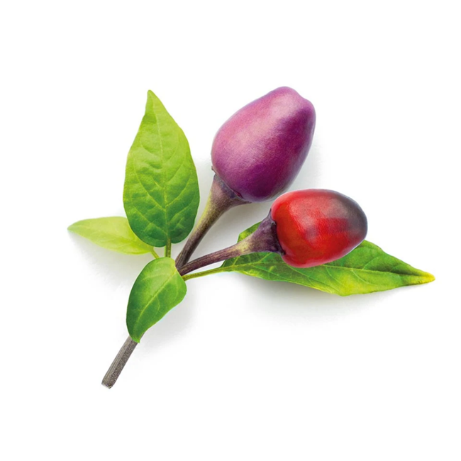 Click and Grow -  Smart Garden Refill 3-pack - Purple Chili Pepper (SGR46X3)