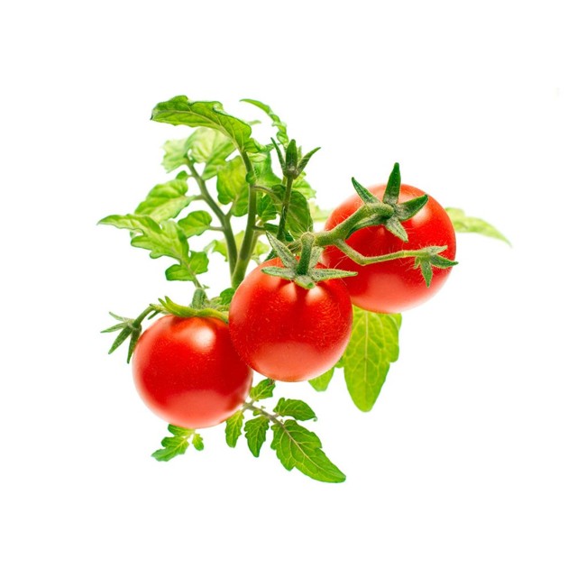 Click and Grow - Smart Garden Refill 3-pack - Mini Tomato (SG-004)