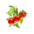 Click and Grow - Smart Garden Refill 3-pack - Mini Tomato (SGR5X3) thumbnail-1