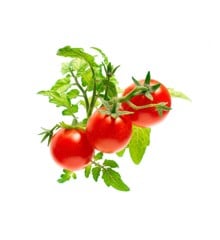 Click and Grow - Smart Garden Refill 3-pack - Mini Tomato (SGR5X3)