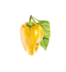 Click and Grow -  Smart Garden Refill 3-pack - Yellow Sweet Peppers (SG-020)
