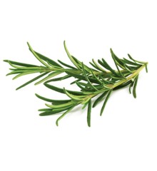 Click and Grow - Smart Garden Refill 3-pack - Rosemary (SG-022)