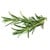 Click and Grow - Smart Garden Refill 3-pack - Rosemary (SGR51X3) thumbnail-1