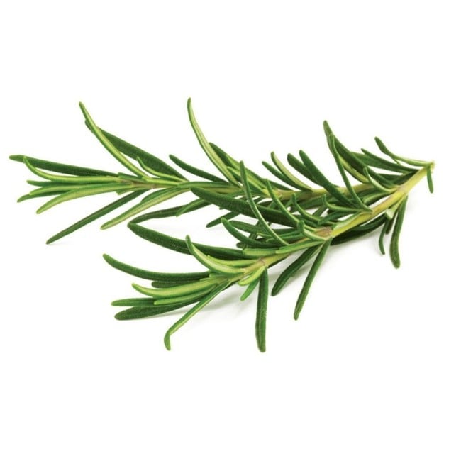 Click and Grow - Smart Garden Refill 3-pack - Rosemary (SGR51X3)