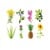 Click and Grow - Smart Garden Refill 3-pack - Experimental (SGR0X3) thumbnail-1