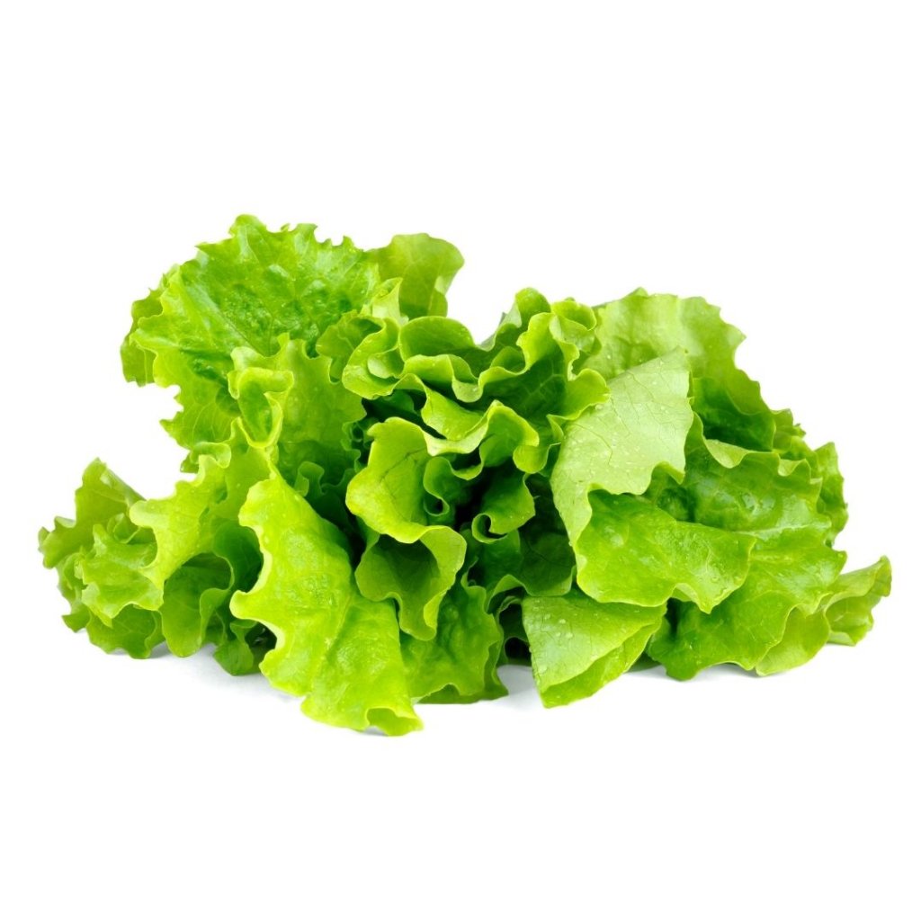 Click and Grow - Smart Garden Refill 3-pack - Green Lettuce (SGR32X3) - Hjemme og kjøkken