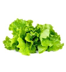 Click and Grow - Smart Garden Refill 3-pack - Green Lettuce (SGR32X3)