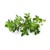 Click and Grow - Smart Garden Refill 3-pack - Thyme (SGR17X3) thumbnail-1