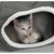 CATIT - Cat Tunnel Grey - (781.5022) thumbnail-4