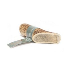 Taki - Deer antler S 10 cm  - (01-605)