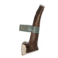 Taki - Deer Antler XXL 20cm - (01-609)