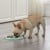 Outward Hound - Fun Feeder Slow Tray - Mint - Large 26cm thumbnail-6