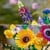 LEGO Icons - Wild Flower Bouquet (10313) thumbnail-8