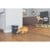 Petsafe - Smartfeed 2.0 Automatic Feeder with wifi - (72984916861) thumbnail-4
