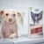 Greenfields - Chinese Crested Care Sæt 2x250ml thumbnail-3