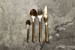 RAW - Cutlery set - Dishwasher safe - Gold - 24 pcs (15827) thumbnail-3