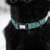 Confetti Dogs - Dog Collar Dots Size XL 45-67 cm - (PHU2432S) thumbnail-2