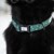Confetti Dogs - Hundehalsbånd med Prikker Str. XL 45-67 cm thumbnail-2