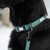 Confetti Dogs - Dog Collar Dots Size XL 45-67 cm - (PHU2432S) thumbnail-3